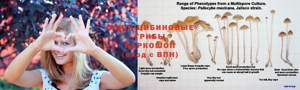 скорость Алексеевка