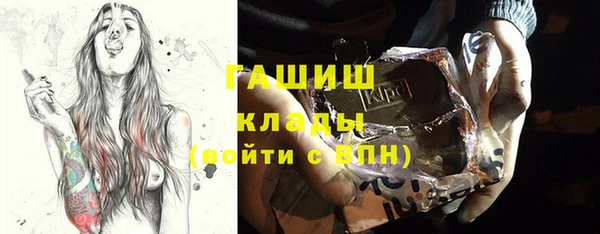 индика Алзамай