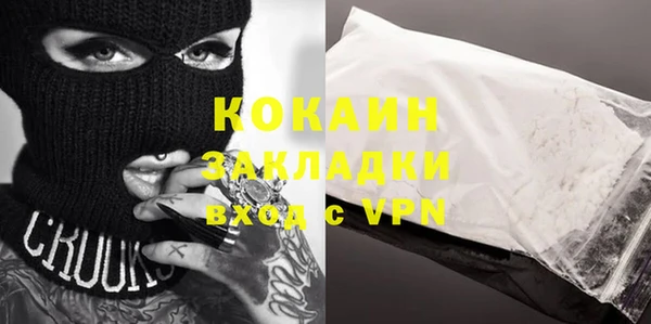 индика Алзамай