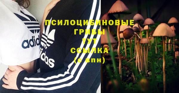 скорость Алексеевка