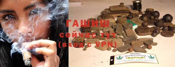 индика Алзамай