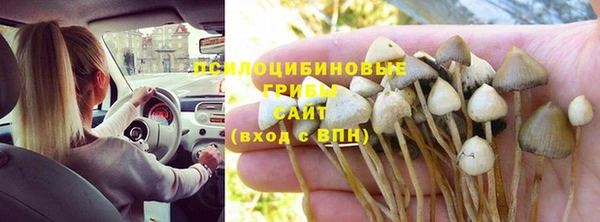 не бодяженный Алексин